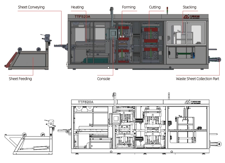 Fully Automatic Plastic Egg Tray Molding Thermoforming Machine Price