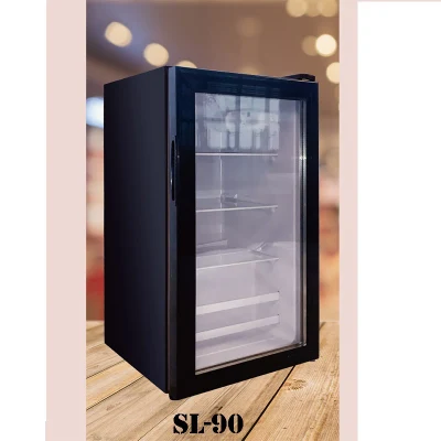 55 litros pequeño AC DC Mapeup Skincare Cosmetic Glass Puerta 12 V coche nevera portátil Mini Belleza nevera