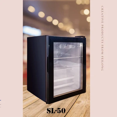55 litros pequeño AC DC Mapeup Skincare Cosmetic Glass Puerta 12 V coche nevera portátil Mini Belleza nevera