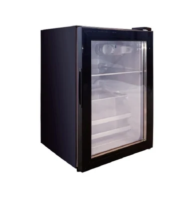 55 litros pequeño AC DC Mapeup Skincare Cosmetic Glass Puerta 12 V coche nevera portátil Mini Belleza nevera