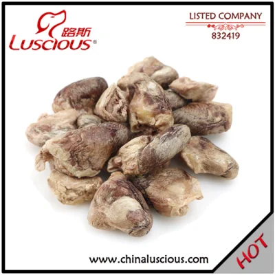 Fd Chicken Flavor Dog Snacks Cat Treats Pet Food Supplier
