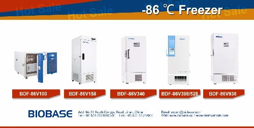 Biobase China 398L Capacity -86 Degree Freezer for Lab