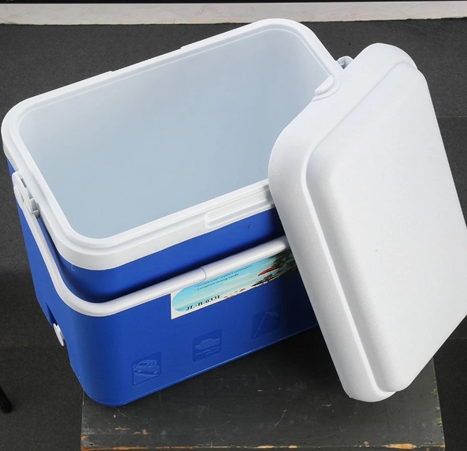 Car Refrigerator Outdoor Small Incubator Portable Car Home Medicine Cosmetics Storage