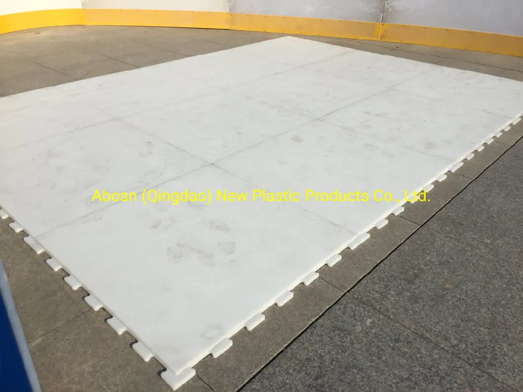 UHMWPE Synthetic Skating Ice Floor Hockey Training Rink Floor Panel