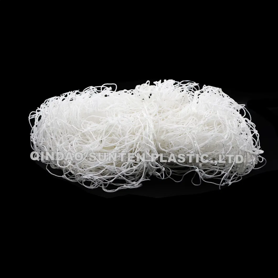 Nylon/Polyester/HDPE/PE/Polyethylene/PP/Plastic/Sport/Badminton/Basketball/Tennis/Hockey/Football/Soccer/Golf Practice/Baseball/Volleyball Net