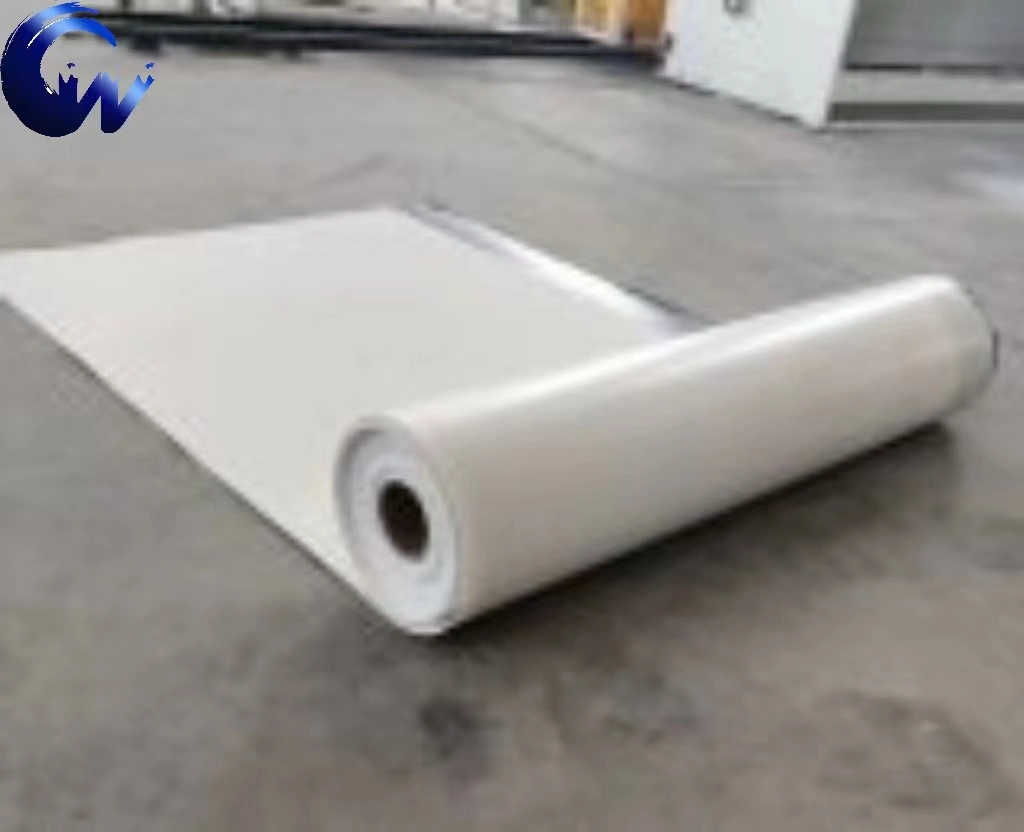 Global Best-Selling Pet Filament Needle Punched Non-Woven Geotextile CE for Railway Reinforcement