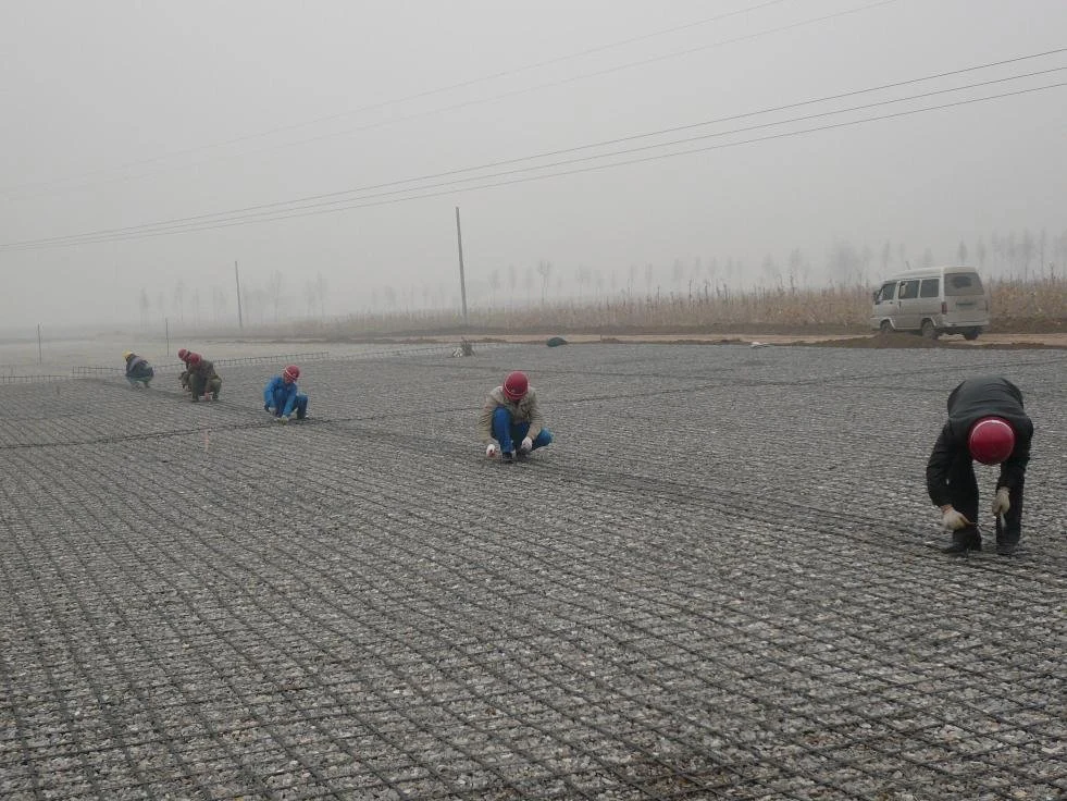 High Tensile Strength Polyester Uniaxial Biaxial HDPE Plastic Geogrid Plastic Gravel Grid for Port Road Construction