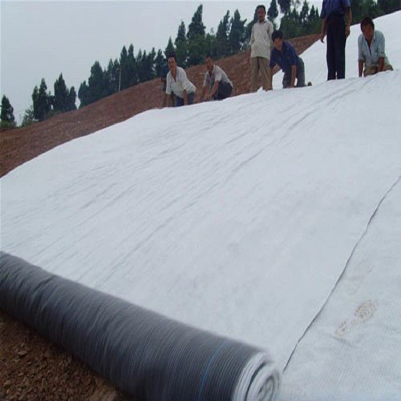 4500GSM 4800GSM 5000GSM Bentonite Geotextile Waterproof Building Material Gcl Geosynthetics Clay Liner for Landfill Seepage Control