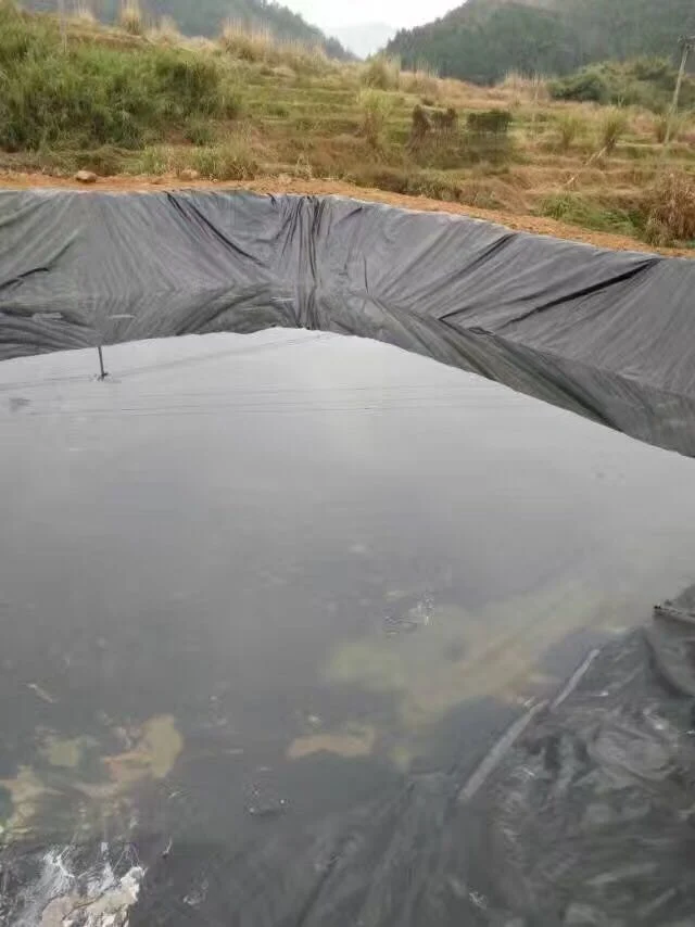 Waterproof Material HDPE Geomembrane for Fish Pond