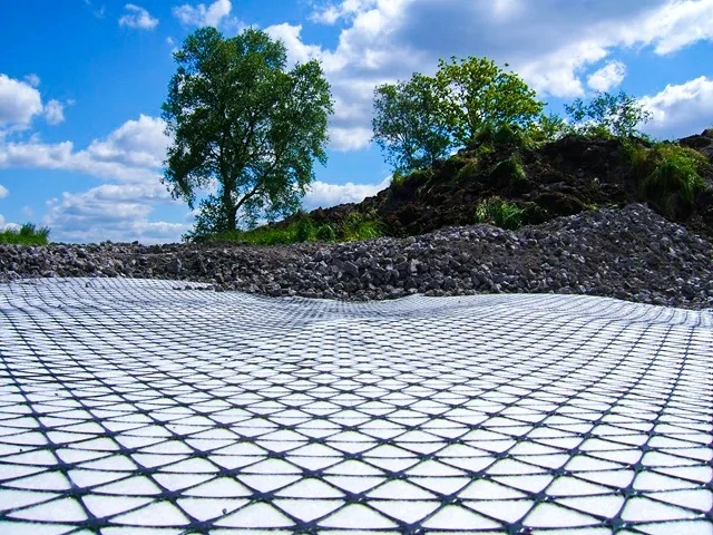 Building Material Polyester Fabric Geogrid Composite with Geotextile Basement Reinforcement