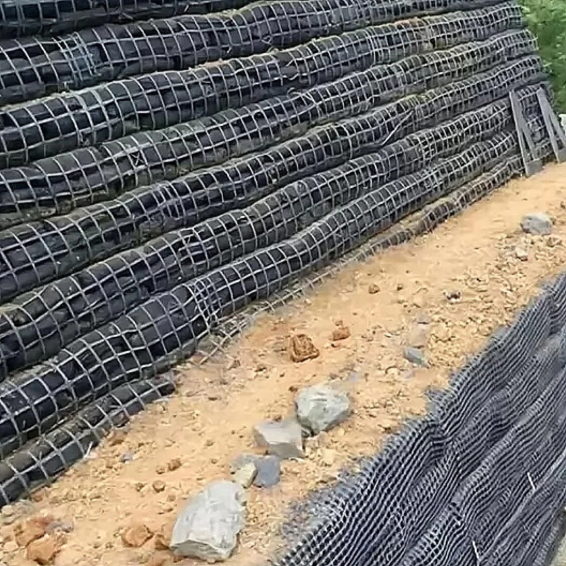 Steel Plastic Geogrid, Composite Geogrid, Reinforcement Geogrid