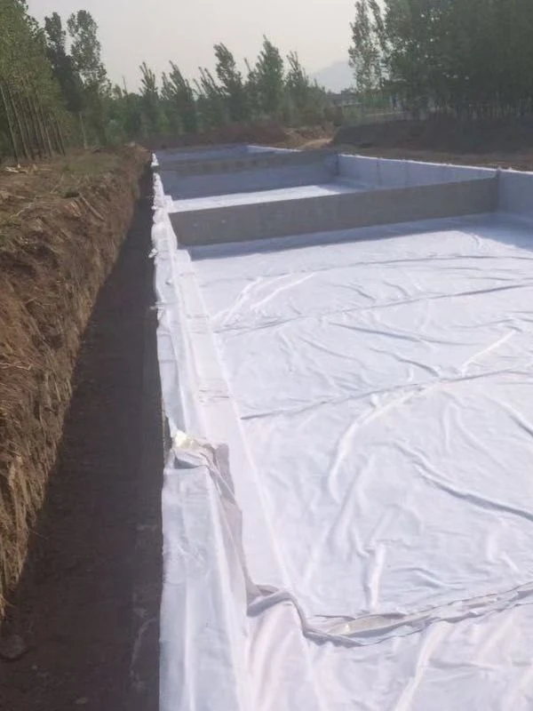 Polypropylene Short Fabric PP Non-Woven Geotextile Filtration Drainage Separation for Contruction Materials