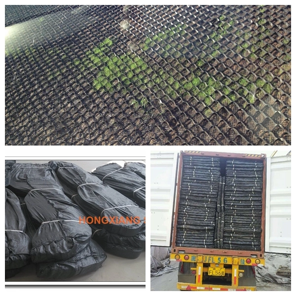 China Factory Smooth Textured Perforated Plastic HDPE Geocell Price for Soil Reinforcement Anti-Corrosion for Road/ Hill/ Slope 150mm 100mm 75mm 50mm