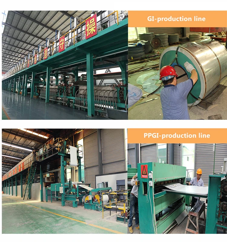 Dwl Galvanized Steel, Galvanized Sheet, Galvanized Steel Sheet Quality Zinc Coating Sheet Galvanized Steel Coil Z60/Z180