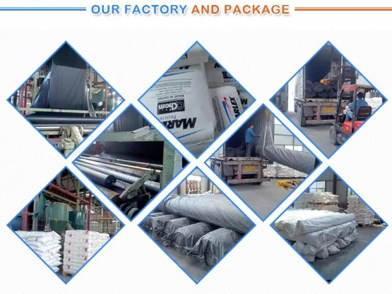 Blcak Color Textured and Perforated HDPE Plastic Geocell Manufacturer Price
