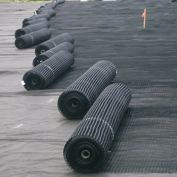 Landslide Geogrid Polyester Mining Mesh Geo Grid for Consolidation