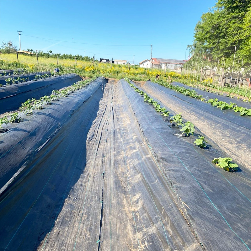 Weed Control Fabric with UV /Landscape Geotextile/Black Anti UV Non Woven Cloth Ground Cover Control