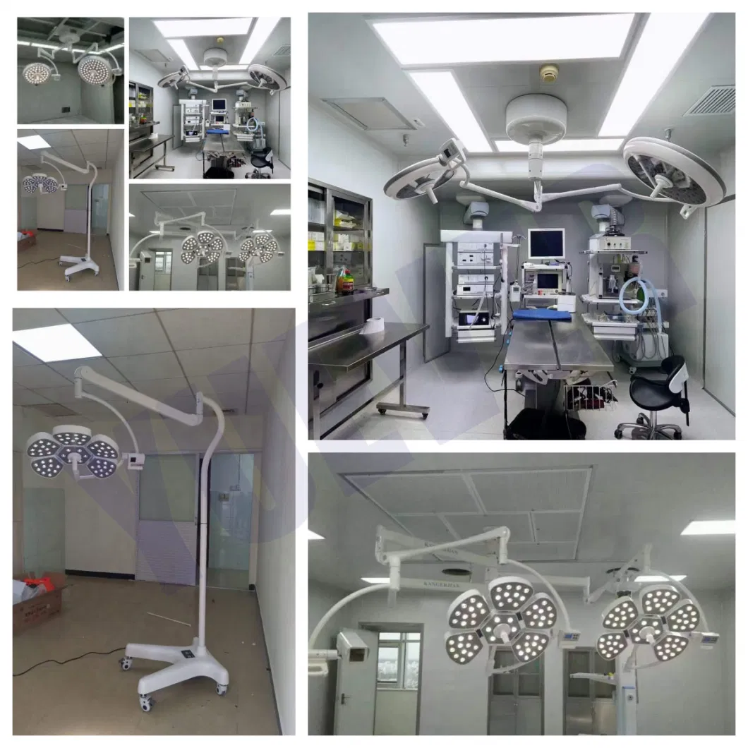 Veterinary Equipment Temperature Control Veterinary Surgery Table Customized Vet Operating Table for Animals