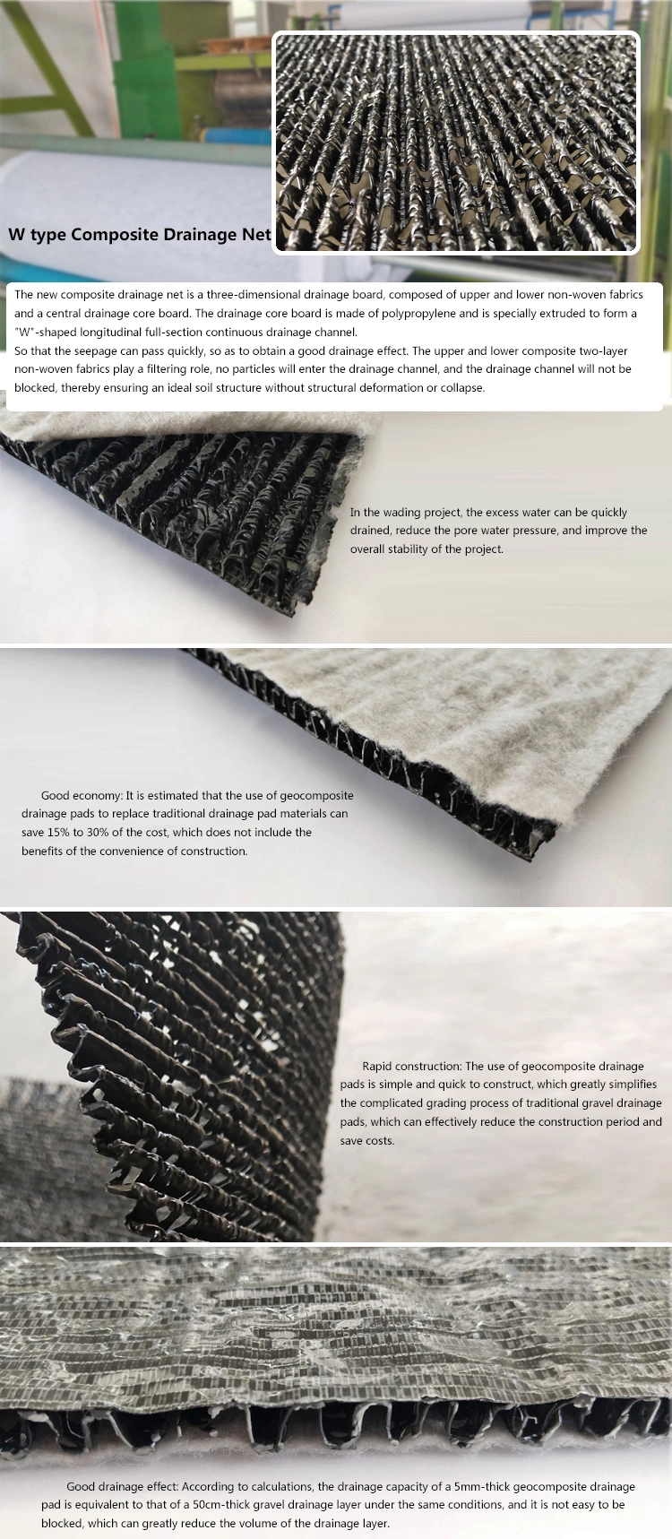 Manufacturer HDPE 3D Geonet Geocomposite Drainage Net for Landfill Road Garden Drainage