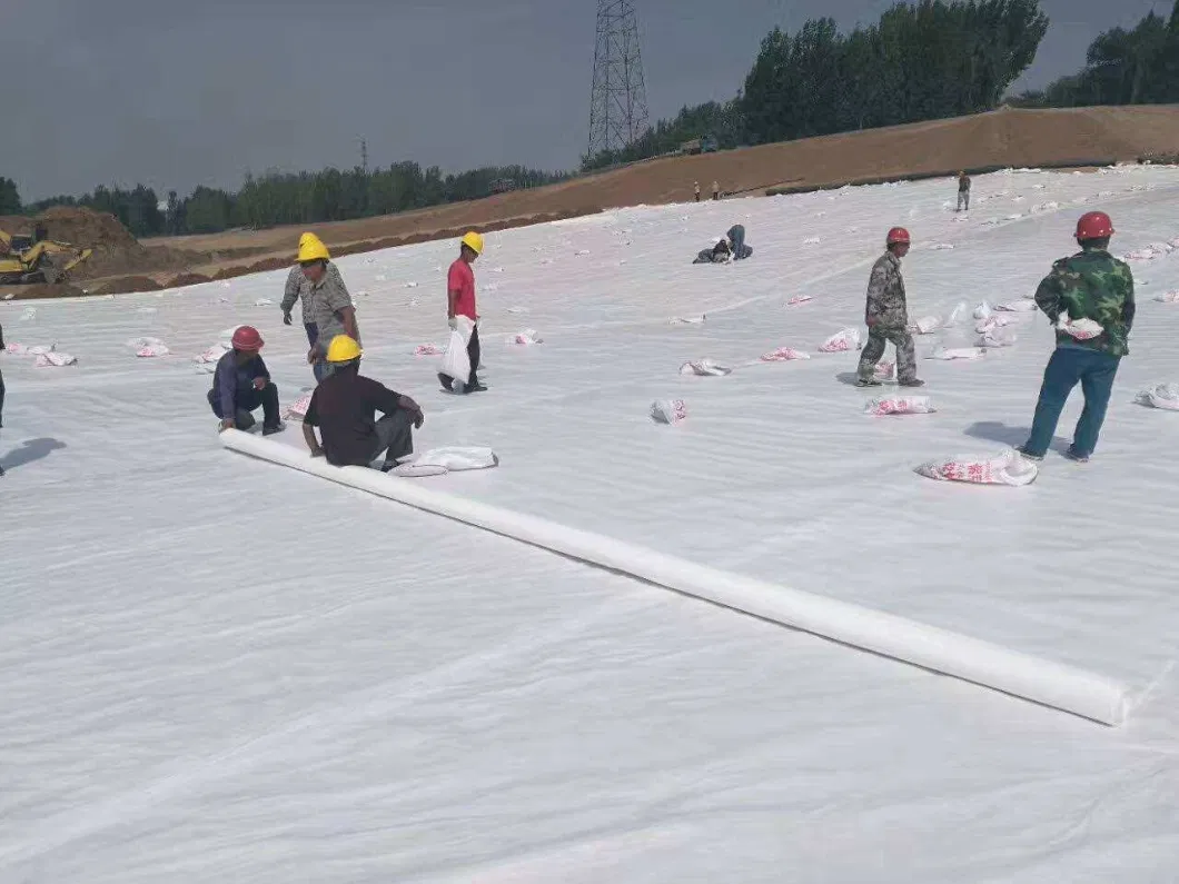 Manufacturer Polyester Polypropylene Nonwoven Geotextile for Erosion Control