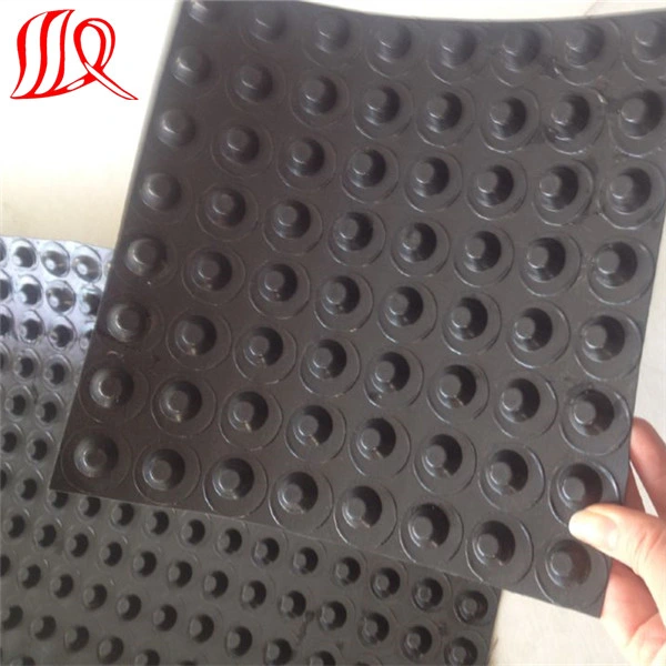 High Quality HDPE Drainage Board with Dimples Manufacture