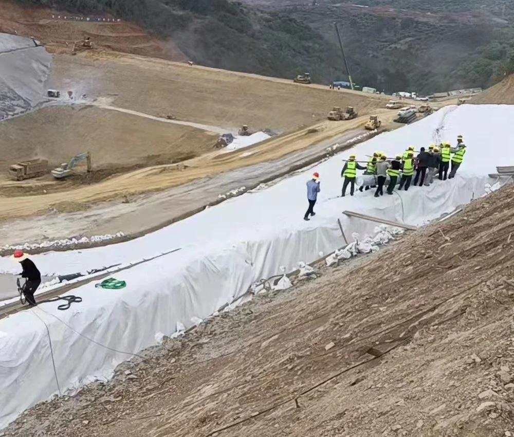 PP Continuous Filament Non Woven Geotextile for Road Pavement, Dam, Retaining Wall