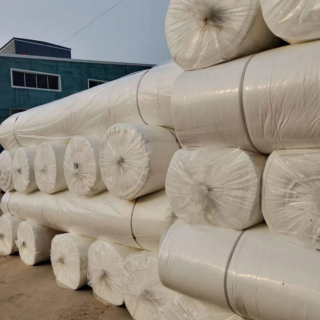 Global Best-Selling Pet Filament Needle Punched Non-Woven Geotextile for Retaining Wall Reinforcement