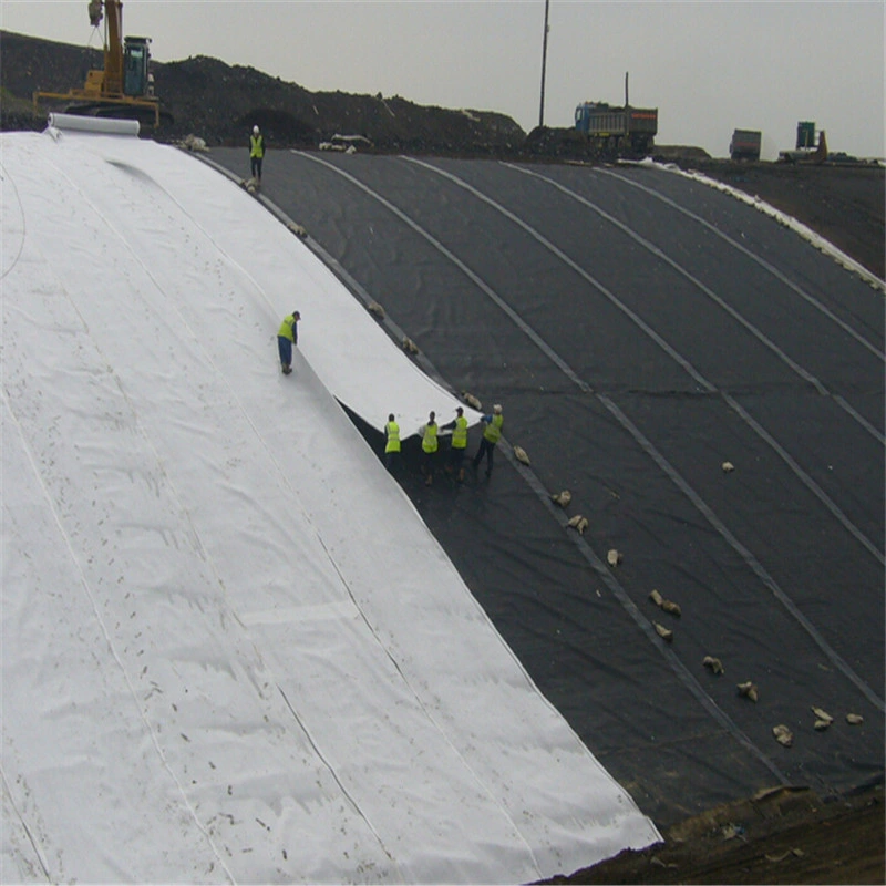 250GSM White Color Geotextile Reinforcement Geotex Fabric Price