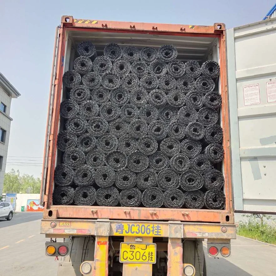 China Shop Online Plastic Geogrid 3030 for Road