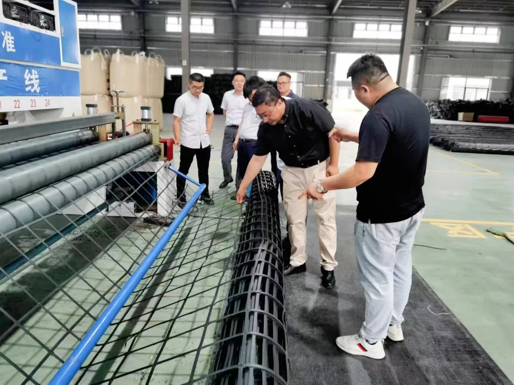 Chuangwan New Geomaterials Geogrid Manufacturers Sell Steel Plastic