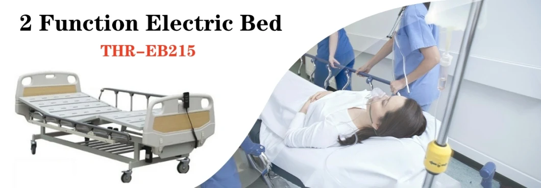 Hospital Furniture 2 Function ICU Patient Bed Medical Nursing Care Bed (THR-EB215)