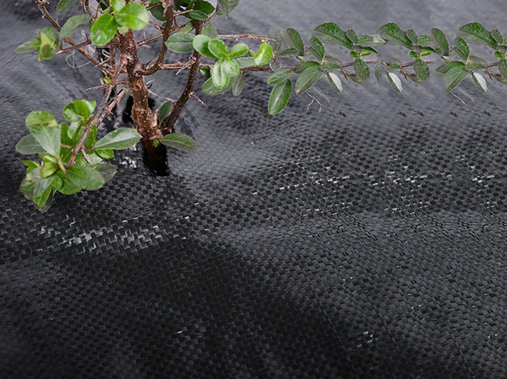 Woven Geotextile Woven Weed Control Fabric for Landscape