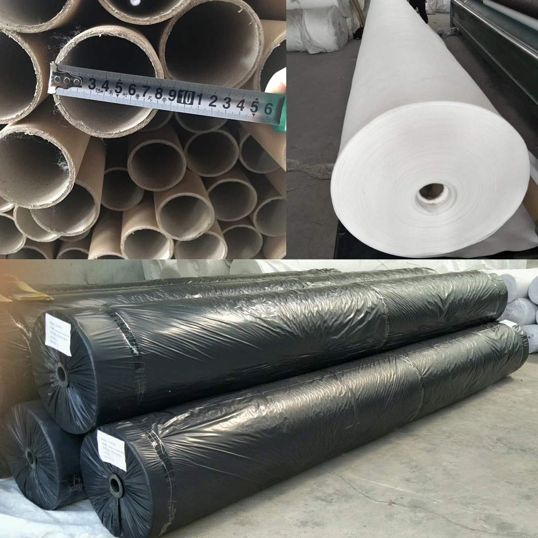 200GSM Needle Punched Polyester Pet Staple Fiber Nw Geotextile with Best Price