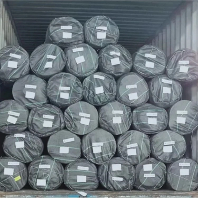 Landslide Geogrid Polyester Mining Mesh Geo Grid for Consolidation