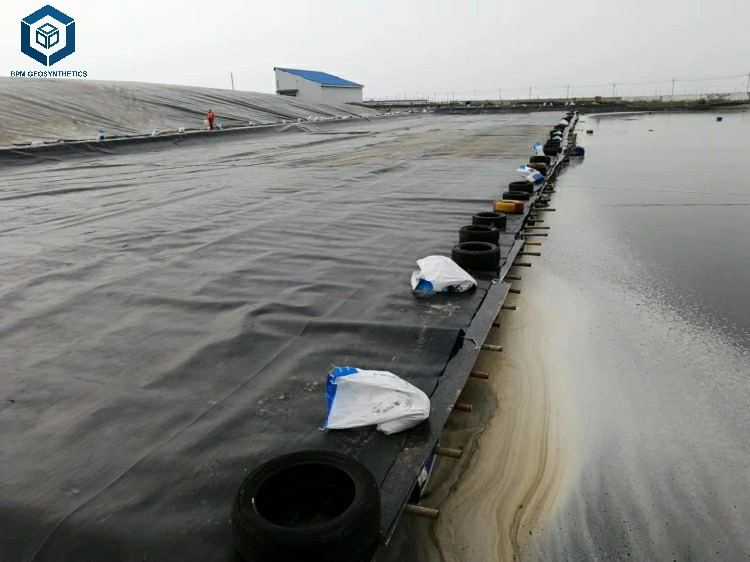 Harga Geomembrane HDPE Pond Liner for Shrimp Pond Project in Malaysia