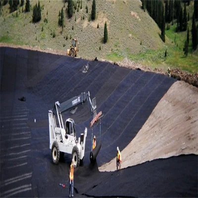 Rivestimento in HDPE geomembrane Harga per impermeabilizzazione rivestimento in diga