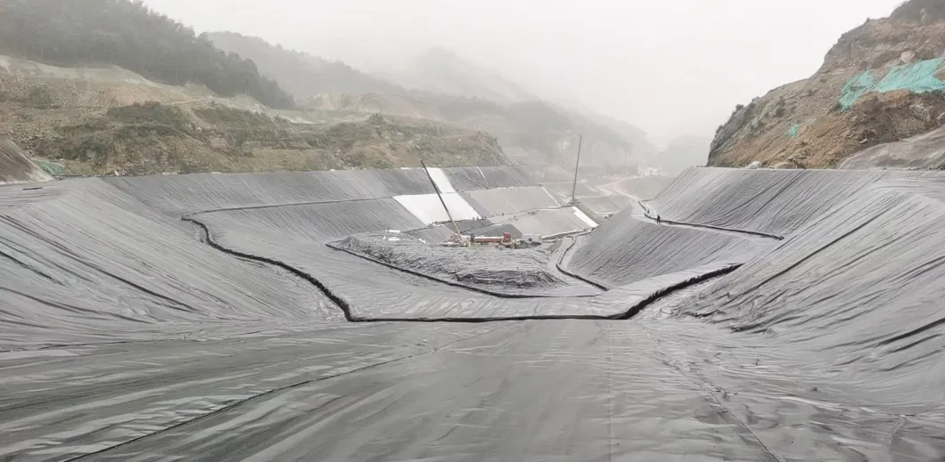 Harga Geomembrane HDPE Liner Sheet for Waterproofing Lining of Dam