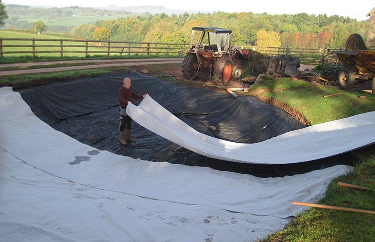 Wholesale Price Polyethylene Sheet Landscape Geotextile for Soil Stabilization Factory Supply Hot Sale