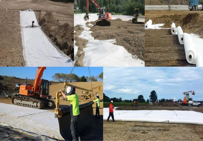 China Supplier Erosion Control Nonwoven Geotextile Fabric