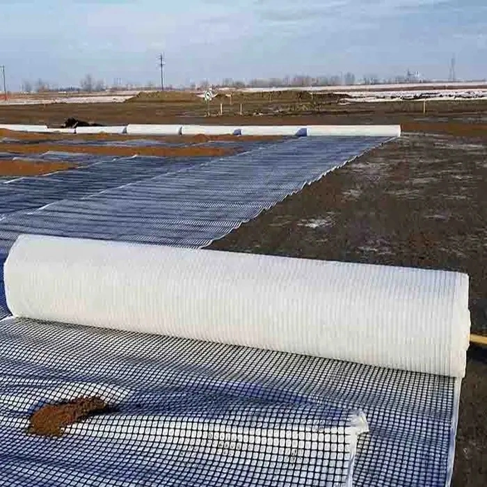 Good Sale Composite Geotextile for Soil Reinforcement and Stabilization