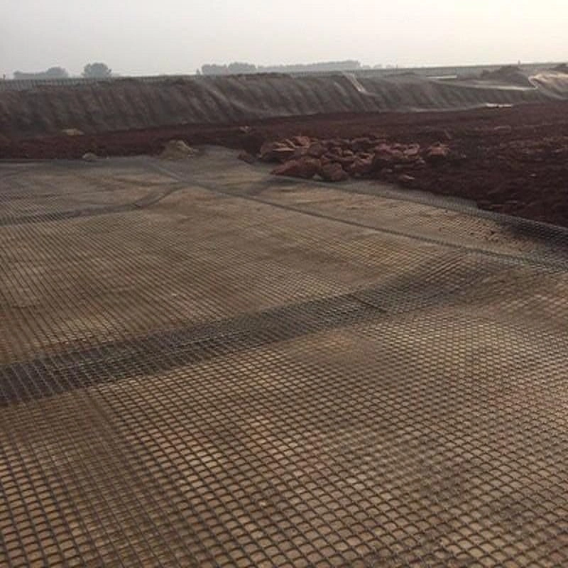 Building Material Plastic PP/HDPE Uniaxial Geogrid for Reinforcement Road Project