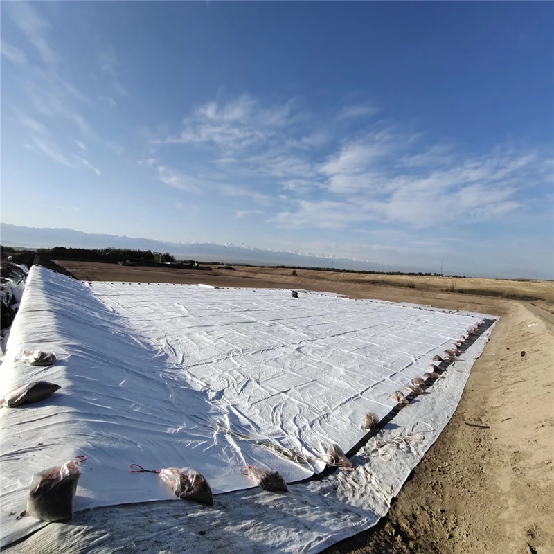 Polypropylene Nonwoven Geotextile 200g M2 Woven Geotextile for Road