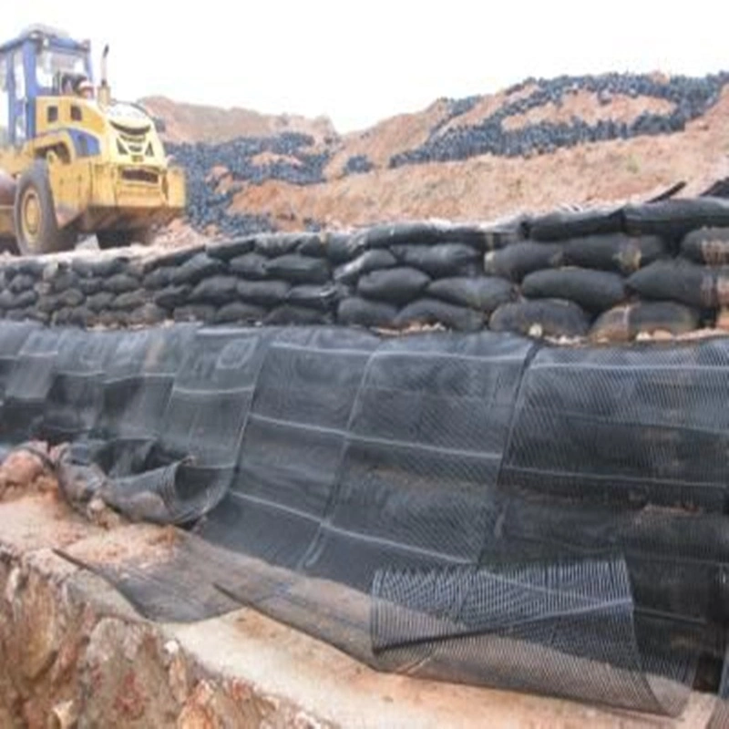 Soil Reinforcement One Way Uniaxial HDPE PP Geogrid Price Uniaxial Geogrid