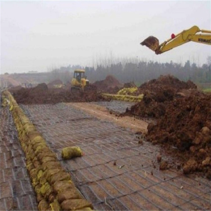 Building Material Plastic PP/HDPE Uniaxial Geogrid for Reinforcement Road Project