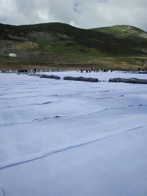 Pet Continuous Filament Woven Geotextile White Color All as Your Requirements