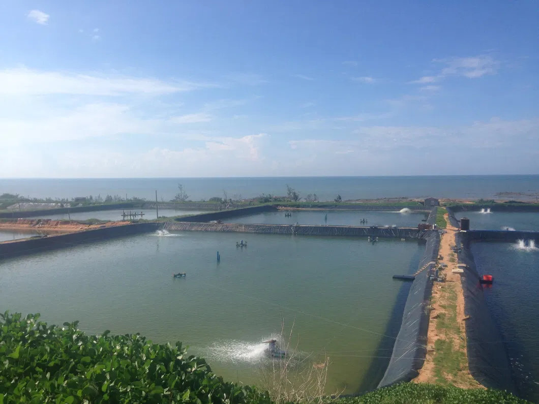 Manufacture 0.2mm-2.5mm Puncture Resistance Pond Geomembrane Liners 60 Mil HDPE Dam Liner