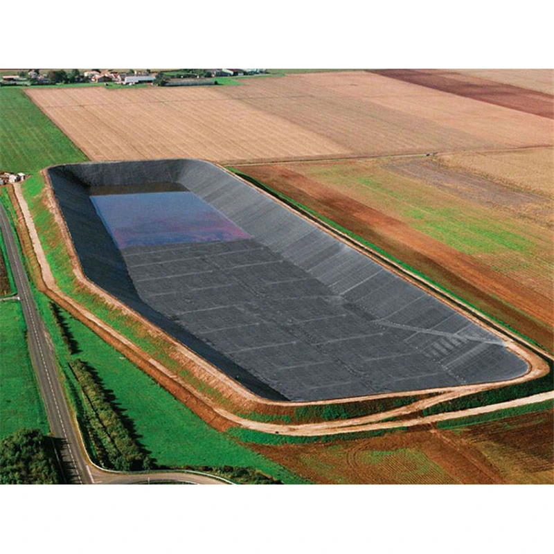 Factory Directly Dam Pond Liner Price HDPE Geomembrane