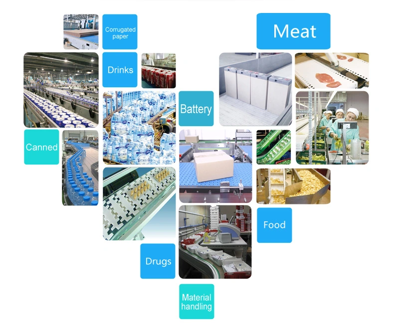 Haasbelts Conveyor Component Z-Type Polyethylene Wearstrip for Plastic Chain