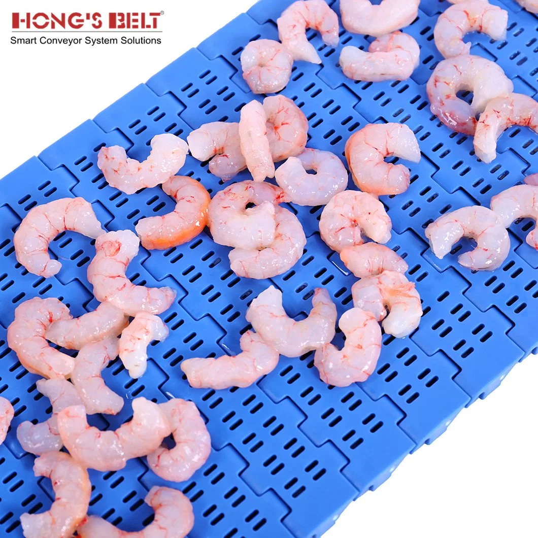 Hongsbelt Opening Conveyor Plastic Modular Belt for Seafood Processing Line