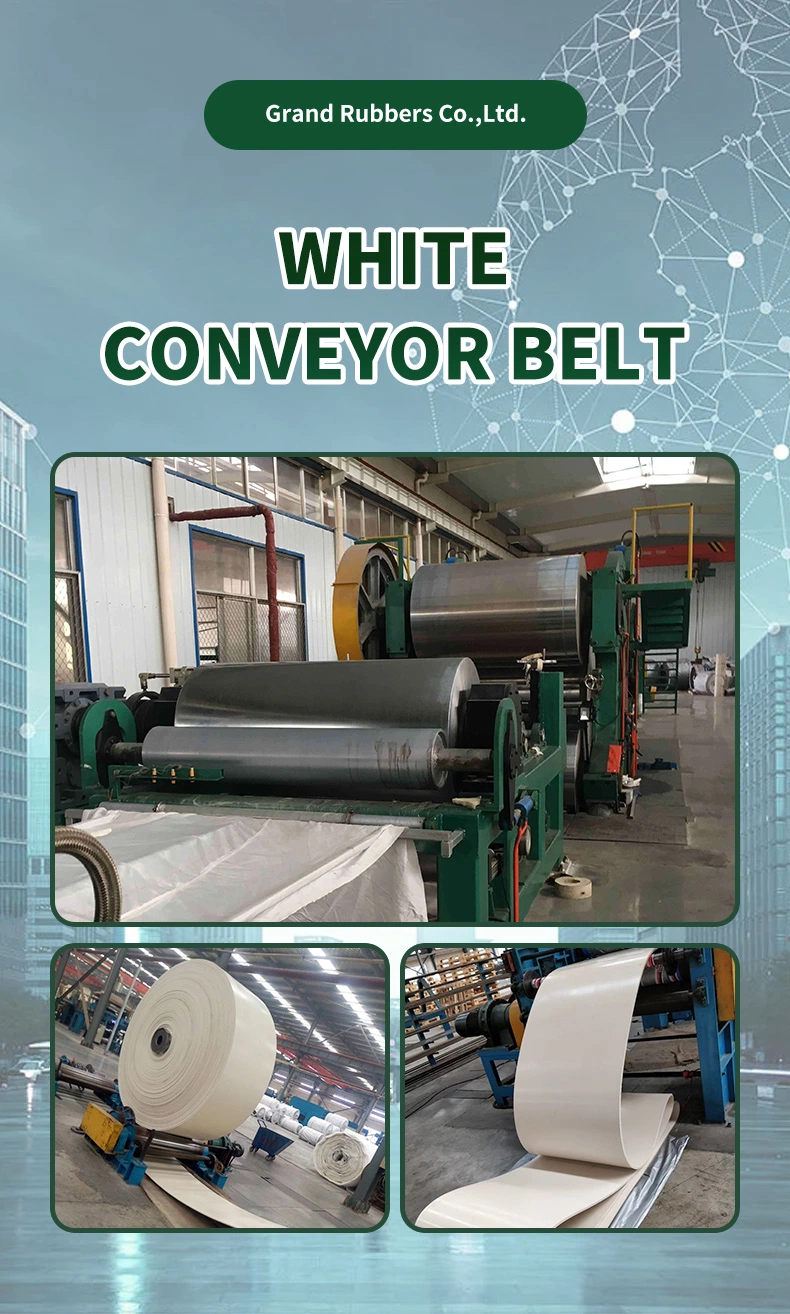 Hot Sell Heat Resistant White Colour Conveyor Belt 4200mm for Food Grade